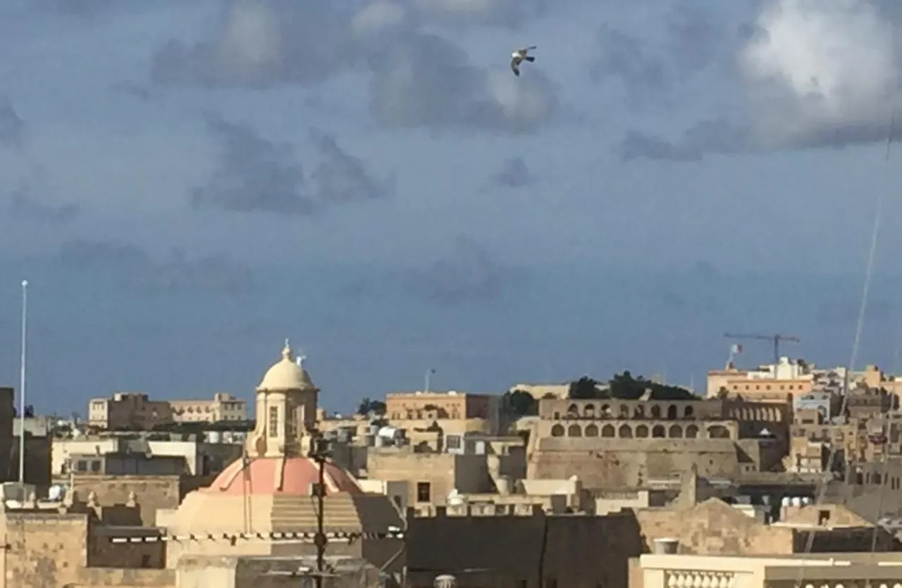Casa Cara Apartment Birgu